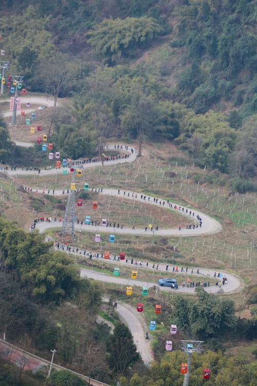 游客通过步道和索道踏青。景区供图