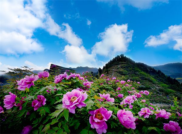 垫江恺之峰旅游区。垫江县委宣传部 供图