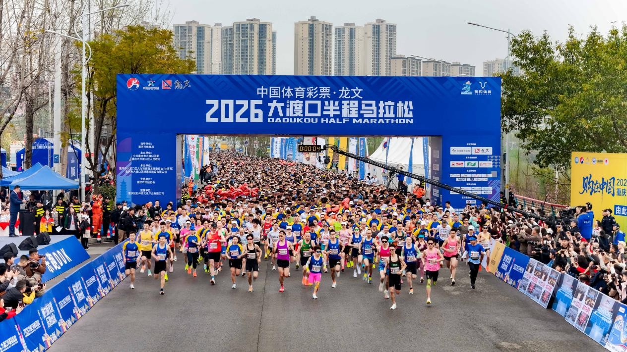比赛现场。主办方供图